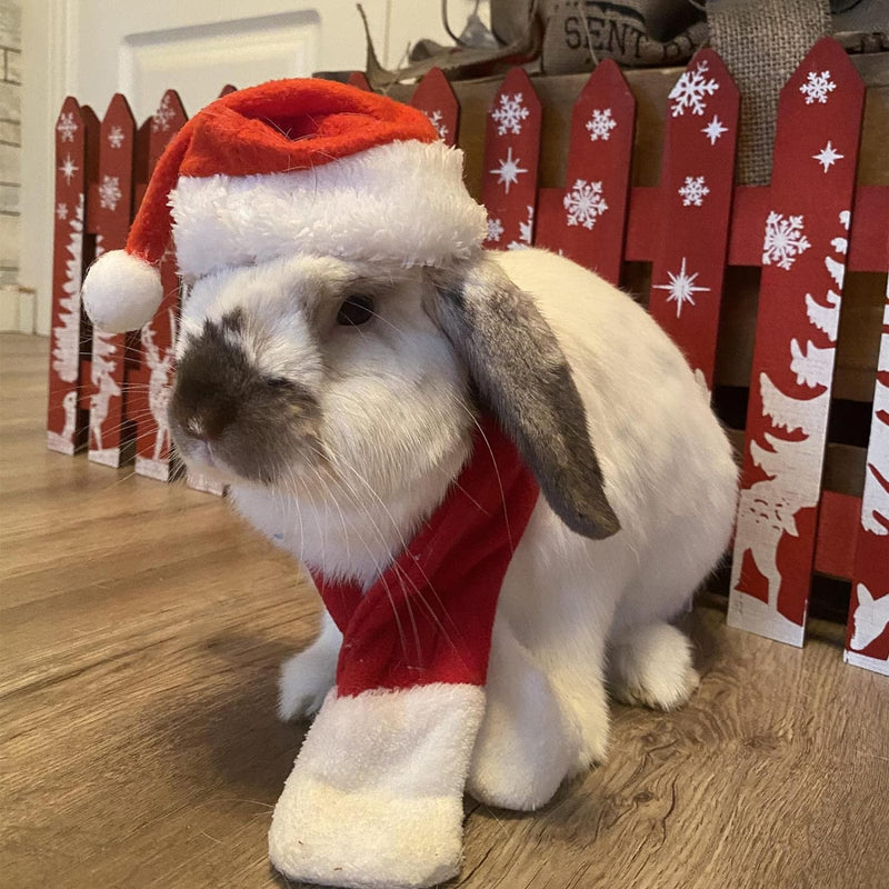 Cat Santa Hat Scarf Small Dog Christmas Costume Xmas Outfit Santa Claus Hat with Red Muffler for Kitten, Doggy, Rabbit, Statue, Toys Decoration